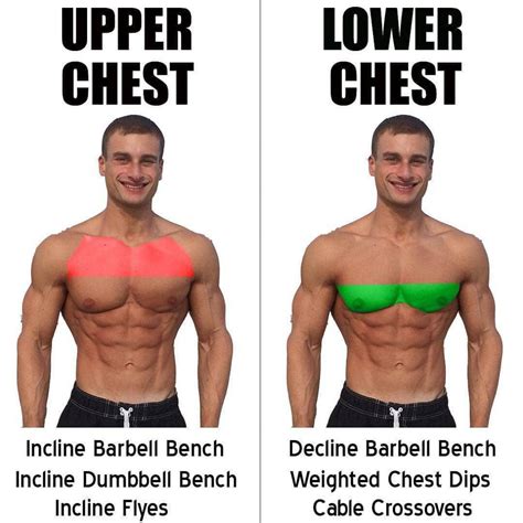 Chest Exercises | Upper Chest & Lower Chest -weighteasyloss.com