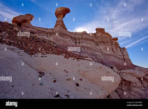 Hoodoos, Jasper Forest, Petrified Forest National Park, Arizona, USA ...