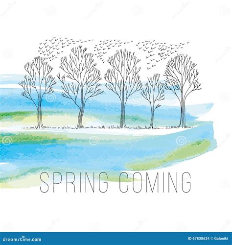 Spring tree sketch vector stock vector. Illustration of birds - 67838634