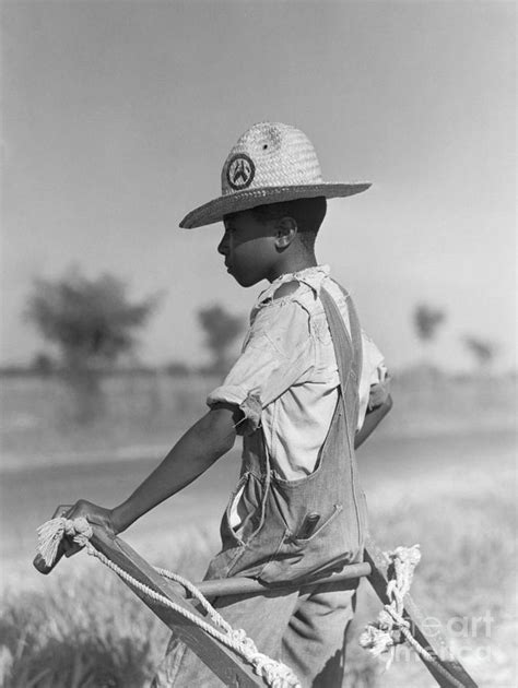 Young Cotton Farmer, 1940 Photograph by Marion Post Wolcott - Fine Art ...