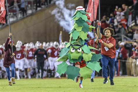 Stanford tree mascot suspended after it opened a 'Stanford Hates Fun ...