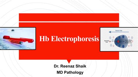 Hb electrophoresis- Types, Procedure and Analysis | PPT