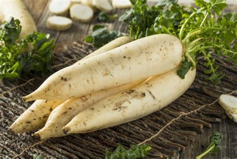 The Health Benefits of Daikon Radish - Health & Detox & Vitamins