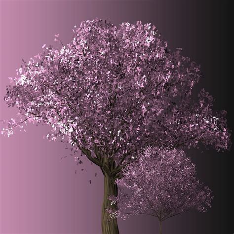 Cherry Blossom Tree · Free photo on Pixabay