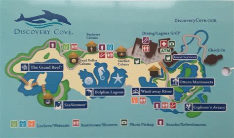 Discovery Cove – Orlando’s Hidden Gem | My Orlando Obsession