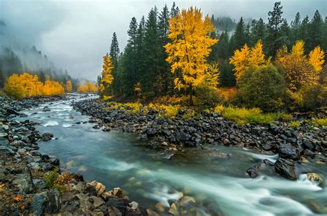 Best Time to See the Fall Colors of Lake Wenatchee in Washington 2022 - Washington News