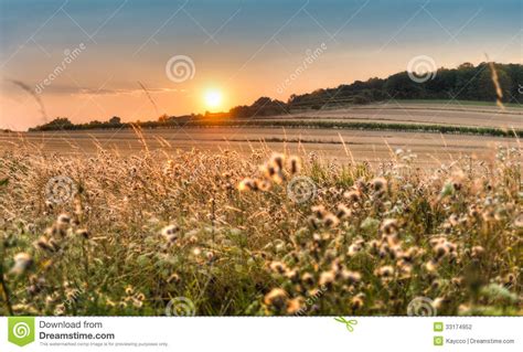 Atmospheric Sunset Over the Field Stock Photo - Image of orange, season ...