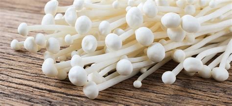 Enoki Mushroom Benefits, Nutrition, Recipes and More - Dr. Axe