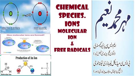 CHAPTER 01! FUNDAMENTALS OF CHEMISTRY! “CHEMICAL SPECIES.” - YouTube