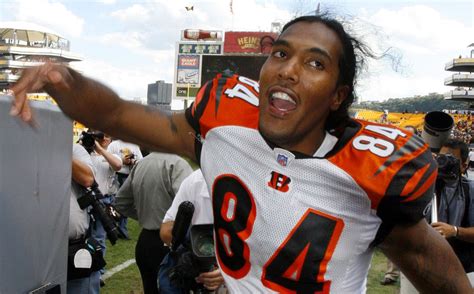 Former Oregon State Beavers star T.J. Houshmandzadeh files restraining order on woman who has ...