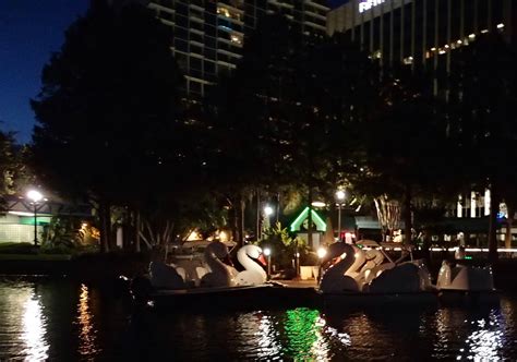 PenobscotPaddles: Swan boats on Lake Eola, Orlando