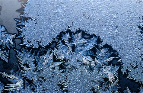 Frost Crystals - Stock Image - C003/0599 - Science Photo Library