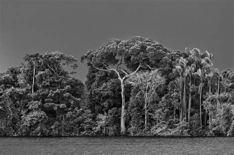 Sebastião Salgado. Amazônia | PORT Magazine