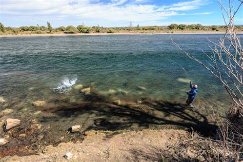 Limay River Ranch, Argentina - Aardvark Mcleod