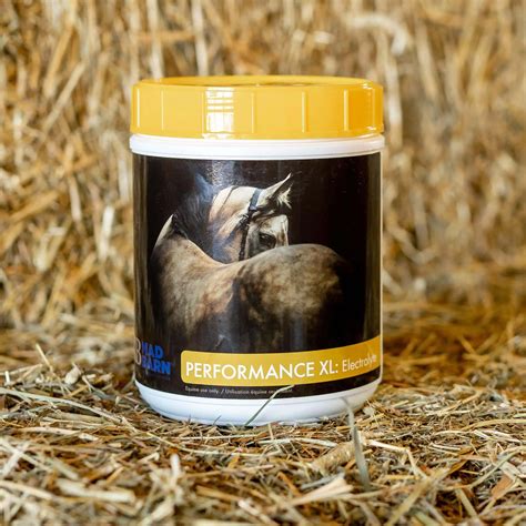 Performance XL: Electrolytes - Horse Supplement | Mad Barn