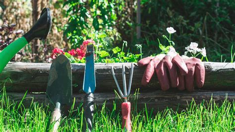 The Best 10 Garden Tools For Harvesting - Little Leafy