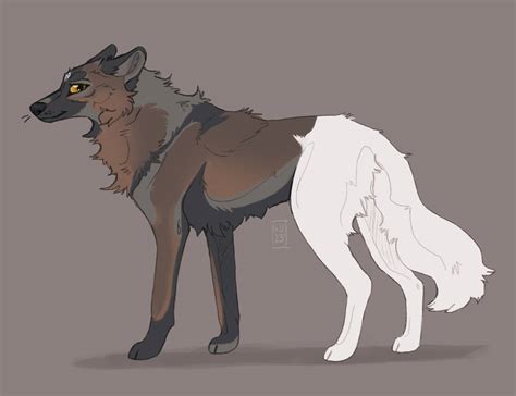 coywolf by Aussienka on DeviantArt