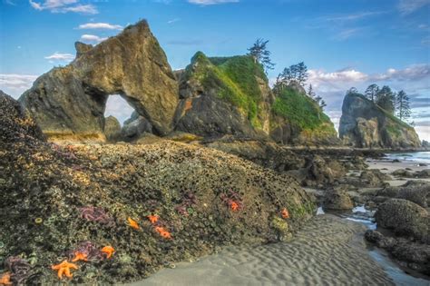 Point of the Arches, Olympic National Park (2) | North Western Images ...