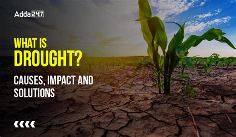 What is Drought? Causes, Impact and Solutions