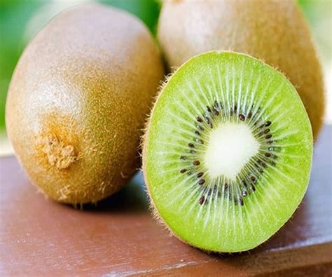 Types of Kiwi Fruit and Price - Arad Branding