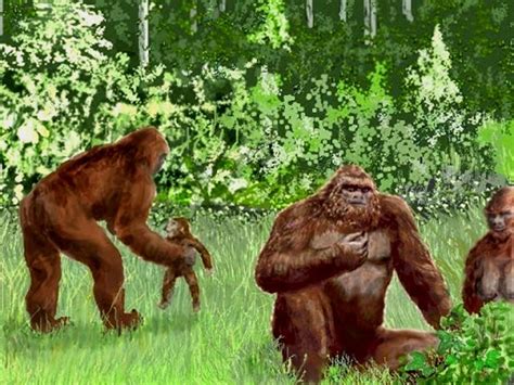 Living peacefully with a Bigfoot family group - Nexus Newsfeed