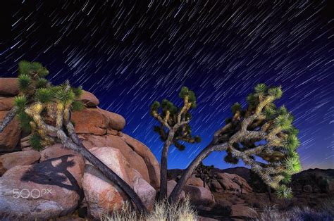 Long exposure star trails photo with light painting, Joshua Tree, CA ...