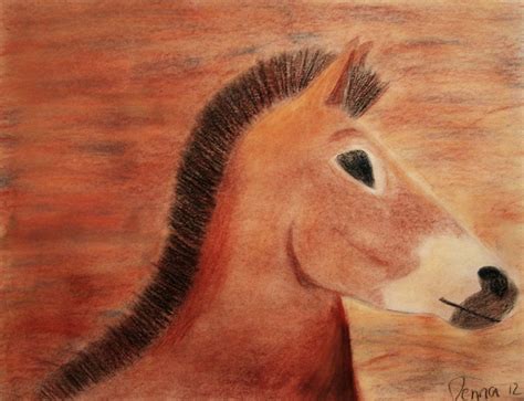 Przewalski's Horse Drawing - Jenna's Highschool Art