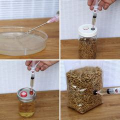 Mushroom Liquid Culture Instructions – The Mushroom Lab