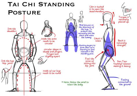 tai chi standing posture Kung Fu, Standing Posture, Standing Poses, Medical Qigong, Qui Gong ...