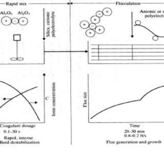 Coagulation flocculation process [5] | Download Scientific Diagram