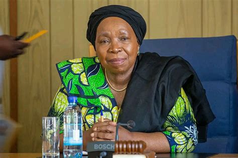 ANC plans action against Dlamini-Zuma for absence in Mkhwebane removal vote