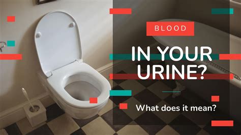 Blood In Your Urine? What Does It Mean? - Walkin Lab