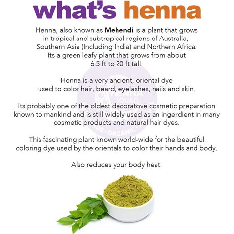 Organic Henna Paste, 100% Natural Henna, Handmade for Best Color Stain by Henna Squad - Etsy