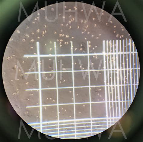 MUHWA Hemocytometer Neubauer Improved Blood Counting Chamber Cell Counting Chamber with Bright ...