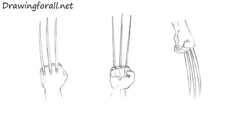 How to Draw Wolverine Claws | Drawingforall.net