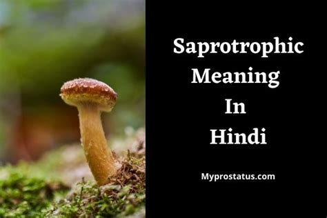 Saprotrophic Meaning In Hindi | Saprotrophic का मतलब क्या होता है