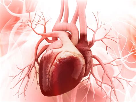 Here's how many years you could gain by keeping heart disease at bay | American Heart Association