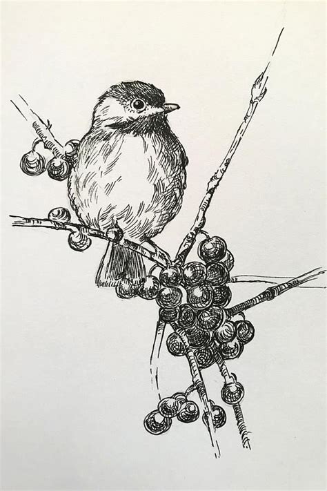 Chickadee ink Drawing Bird Pen Artwork Bird Black White Graphics Animals Ink Drawing by Svitlana ...