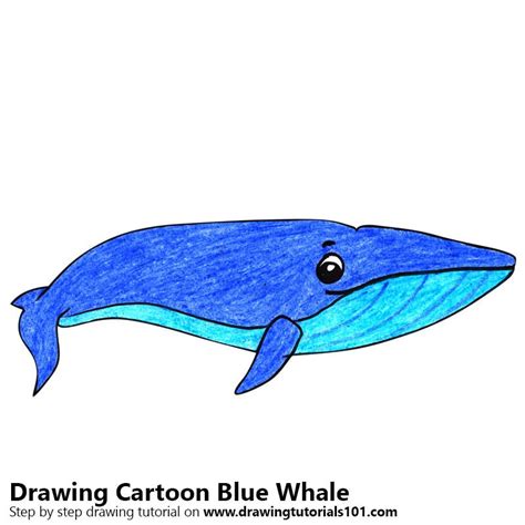 DrawingTutorials101.com | Blue whale, Whale drawing, Blue whale drawing