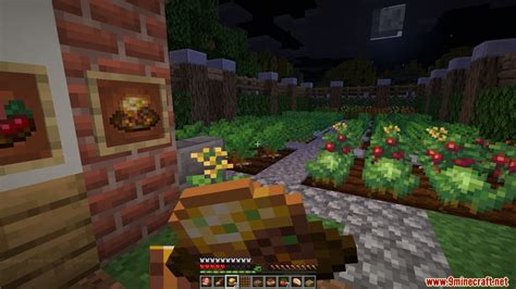 Farmer's Delight Mod (1.19.3, 1.18.2) - Farming Expansion for Minecraft - Mc-Mod.Net