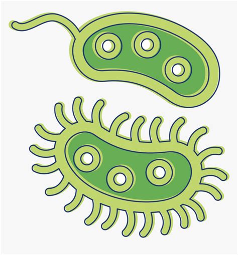 Clip Art Clipart Bacteria - Transparent Background Bacteria Clipart, HD Png Download ...