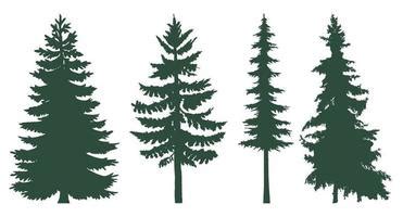 Conifers Clipart House