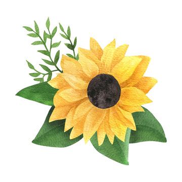 Sunflower Pictures Clip Art | Best Flower Site