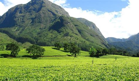 Getting To Know The Mulanje Mountain of Malawi - Ibiene Magazine