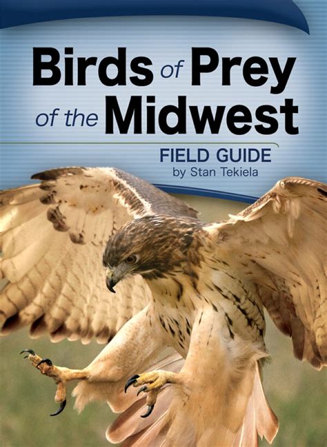 Birds of Prey of the Midwest Field Guide - AdventureKEEN Shop