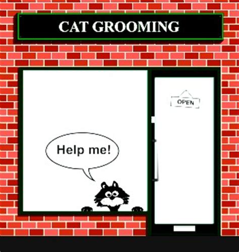 Cat Grooming Techniques and Tips