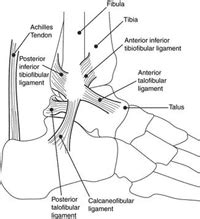 Sports Injuries Fort Walton Beach FL, Paul J. Kalin, DPM