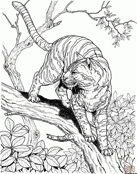 tiger ausmalbilder | Jungle coloring pages, Animal coloring pages, Cat coloring page