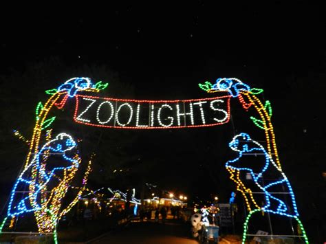 The Real Housewife of DC: Zoo Lights at the National Zoo