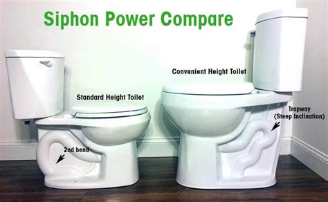 Tallest Toilet Bowl Height